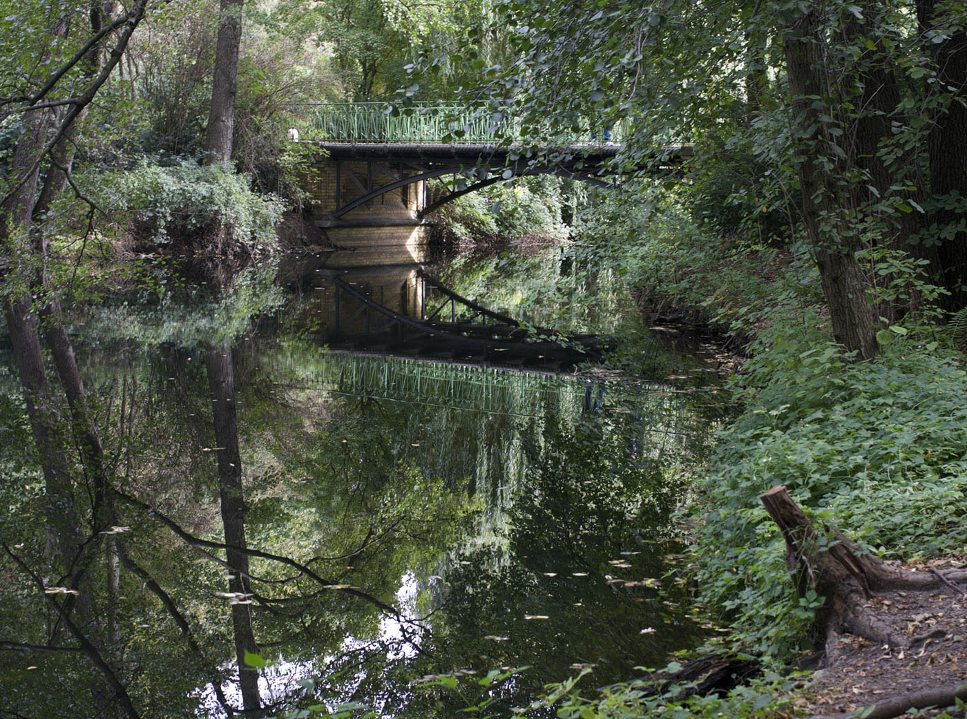 Marcus Bunyan. 'A Day in the Tiergarten' 2019-2020