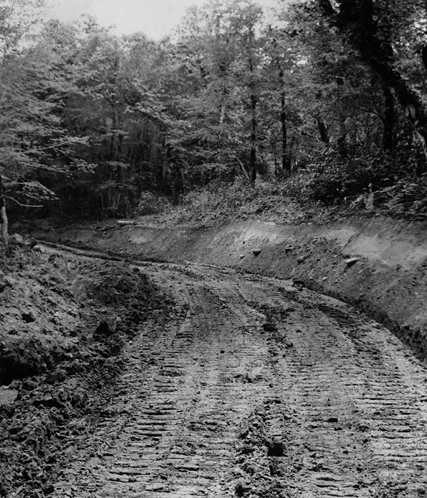 Marcus Bunyan. 'The Shape of Dreams' 2013-2017