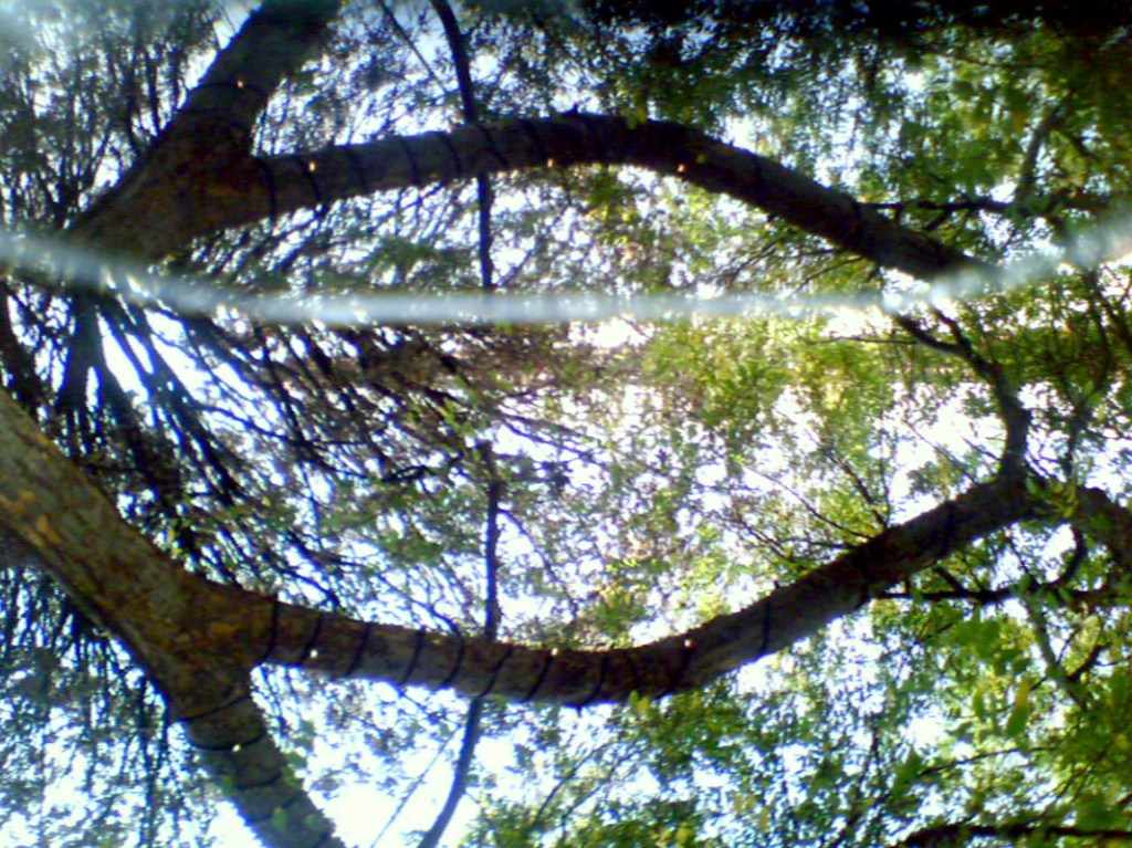 Marcus Bunyan. 'Aporia' 2007