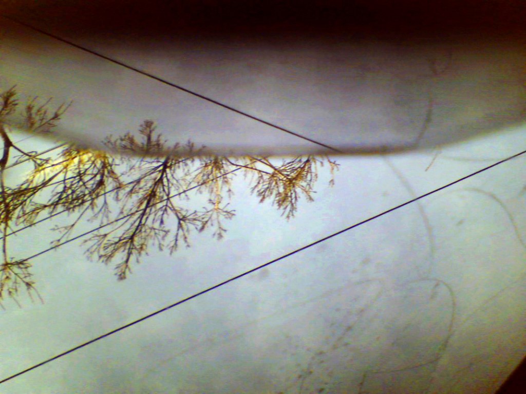 Marcus Bunyan. 'Aporia' 2007