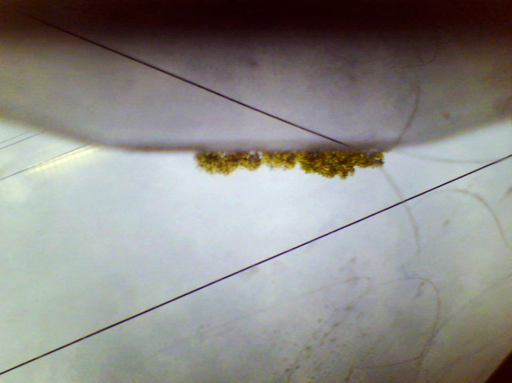 Marcus Bunyan. 'Aporia' 2007