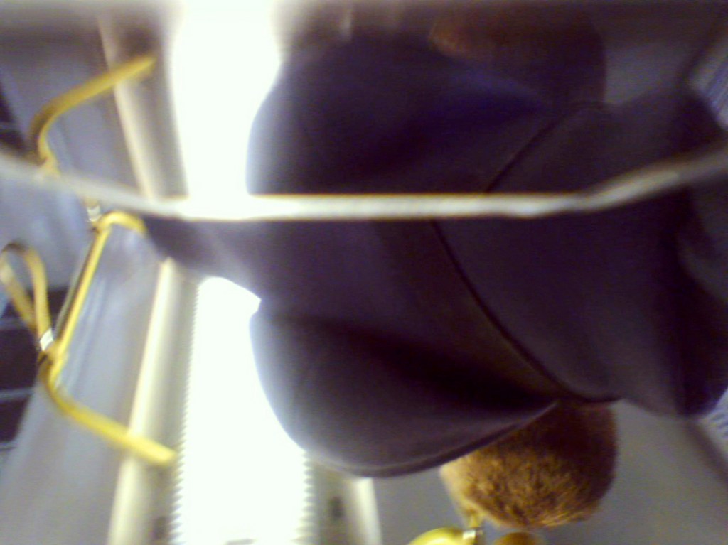 Marcus Bunyan. 'Aporia' 2007