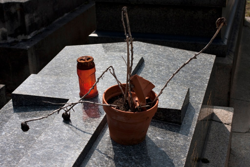 Marcus Bunyan. 'Stones, Vaults, Flowers: Père Lachaise' 2017-2020