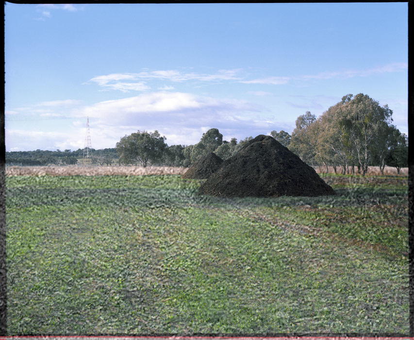 Marcus Bunyan. 'Last Stand' 2008