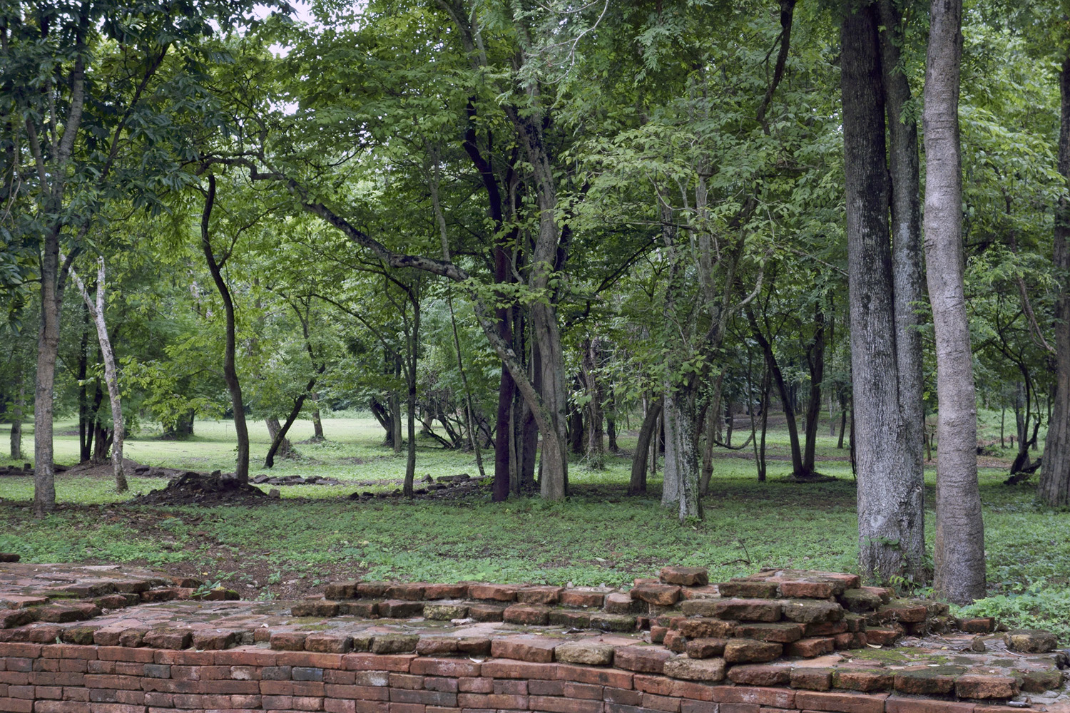 Marcus Bunyan. 'Oblique' 2019 Marcus Bunyan. 'Oblique' 2019