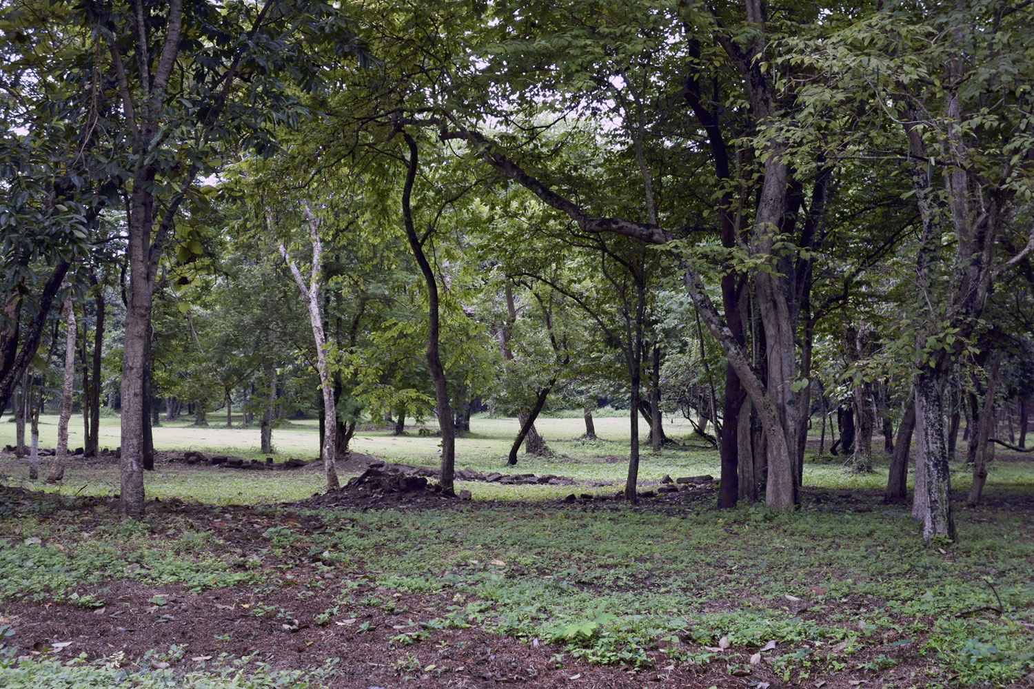 Marcus Bunyan. 'Oblique' 2019 Marcus Bunyan. 'Oblique' 2019