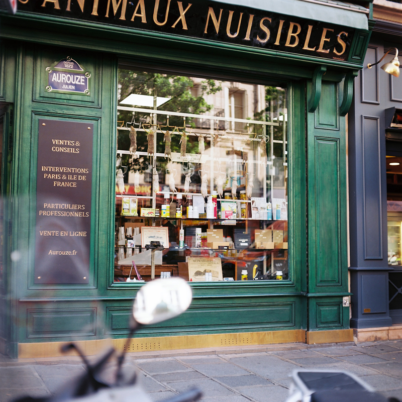 Marcus Bunyan. 'Paris in film' 2018