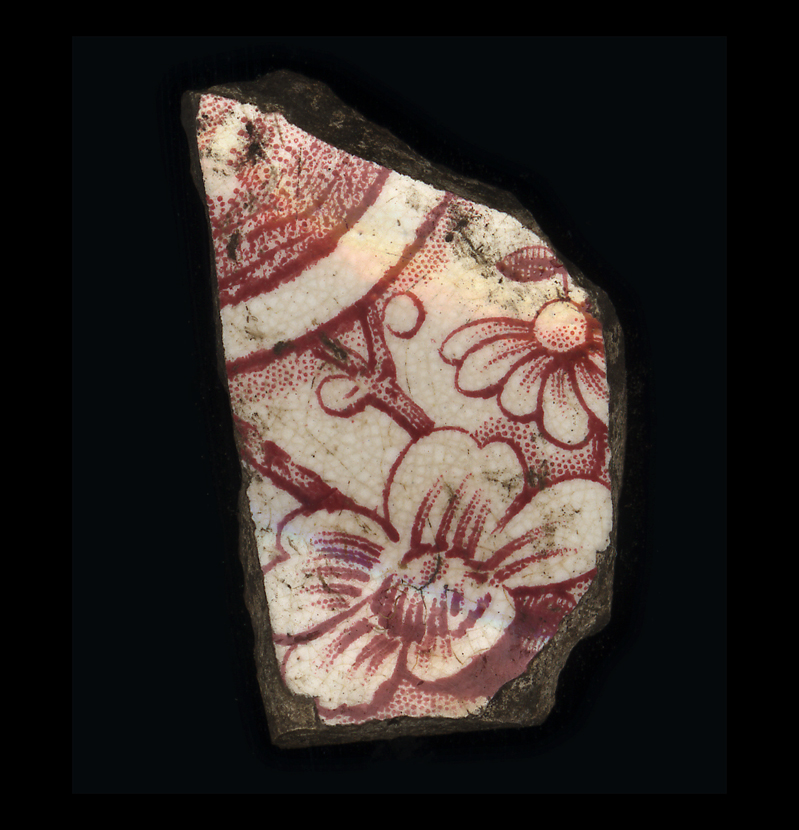 Marcus Bunyan. 'Unearth' 2007