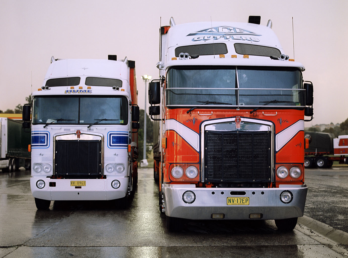 Marcus Bunyan. 'Enclosure' 2005