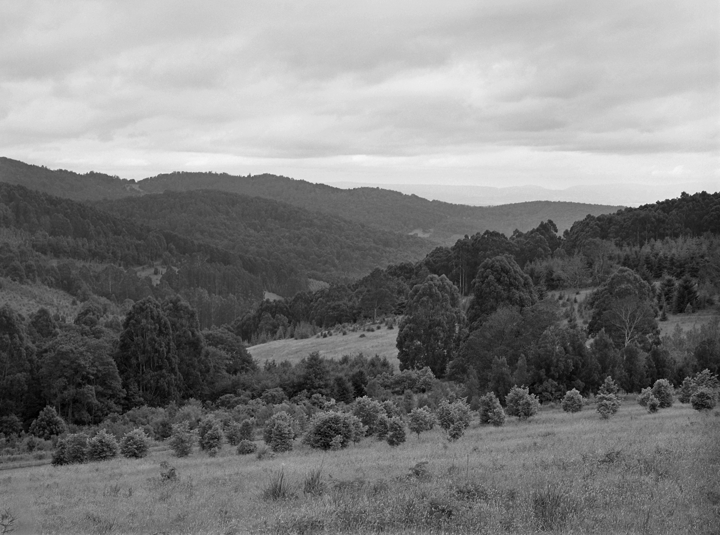 Marcus Bunyan. 'Objects, cars and places' 1991-1992