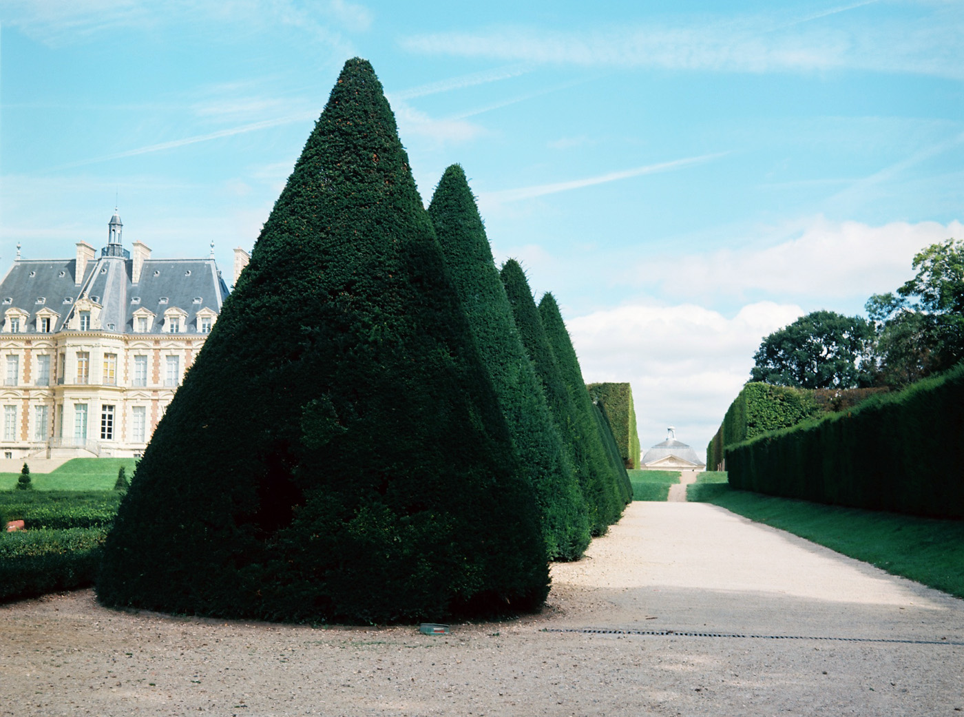 Marcus Bunyan. 'Paris in film' 2018