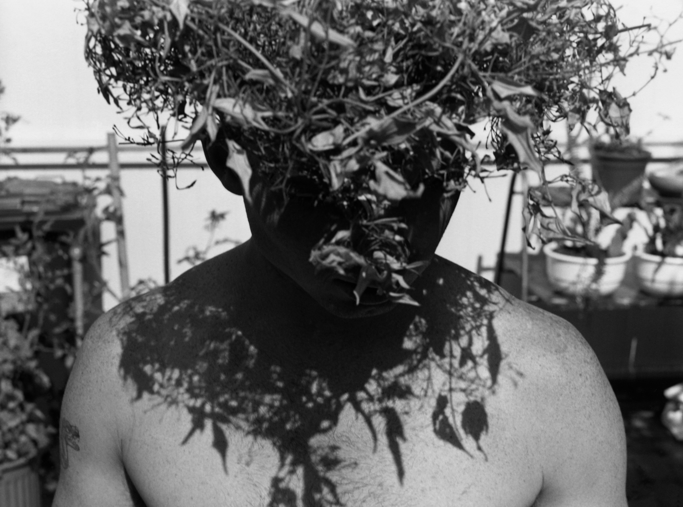 Marcus Bunyan. 'The Songs of Eternity' 1994