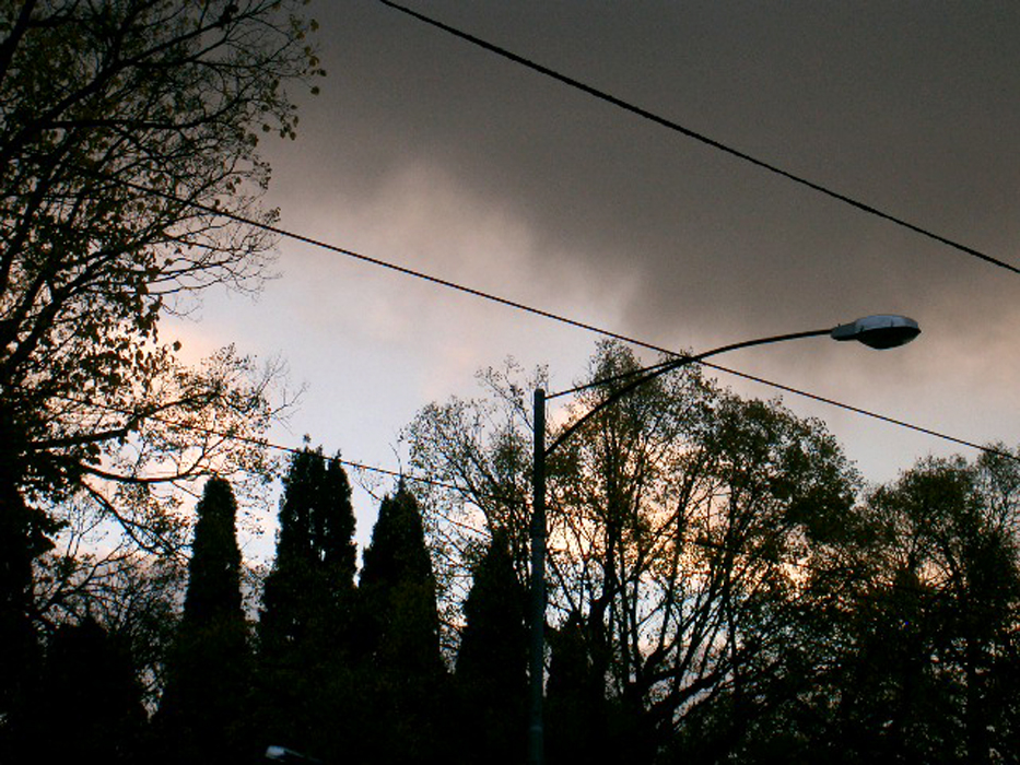 Marcus Bunyan. 'Tokern' 2005 Marcus Bunyan. 'Tokern' 2005