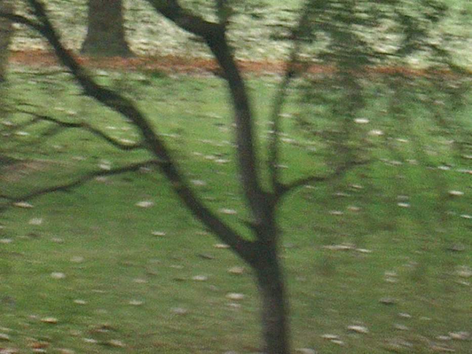 Marcus Bunyan. 'Tokern' 2005 Marcus Bunyan. 'Tokern' 2005