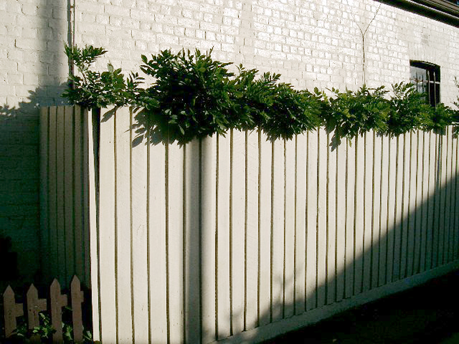 Marcus Bunyan. 'Tokern' 2005 Marcus Bunyan. 'Tokern' 2005