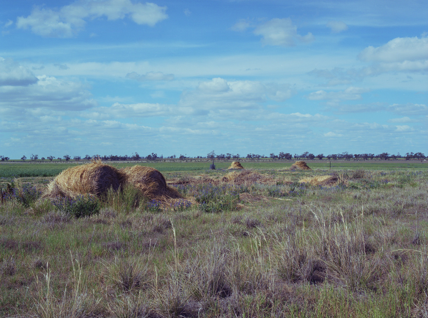 Marcus Bunyan. 'Last Days at Karngara' 2002