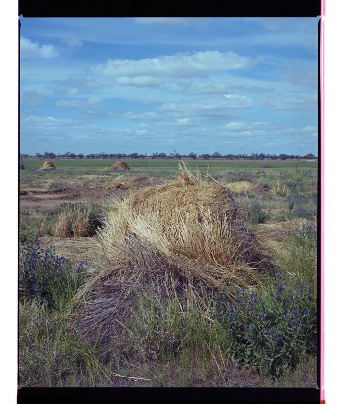 Marcus Bunyan. 'Last Days at Karngara' 2002