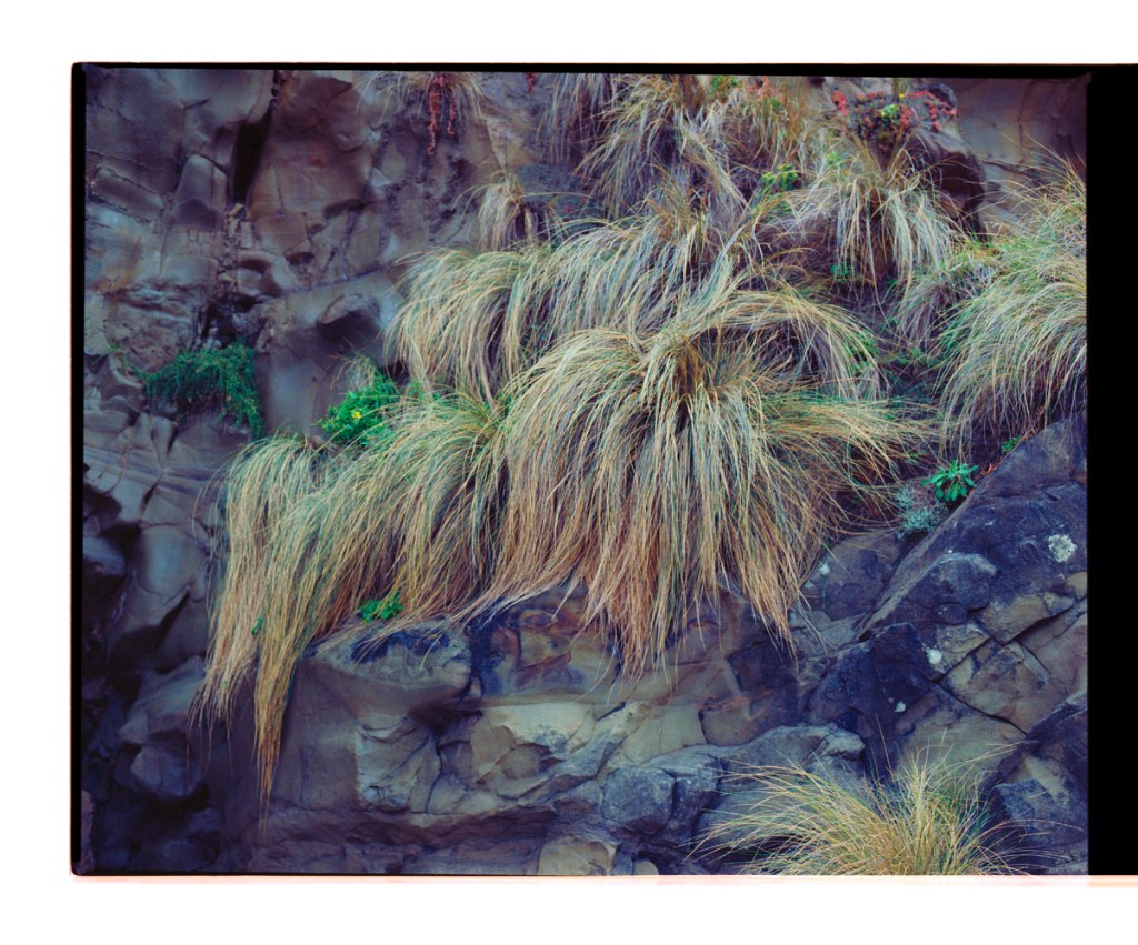 Marcus Bunyan. 'Untitled' from the series 'Resonance' 2021