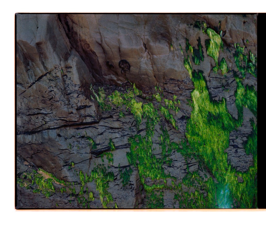 Marcus Bunyan. 'Untitled' from the series 'Resonance' 2021