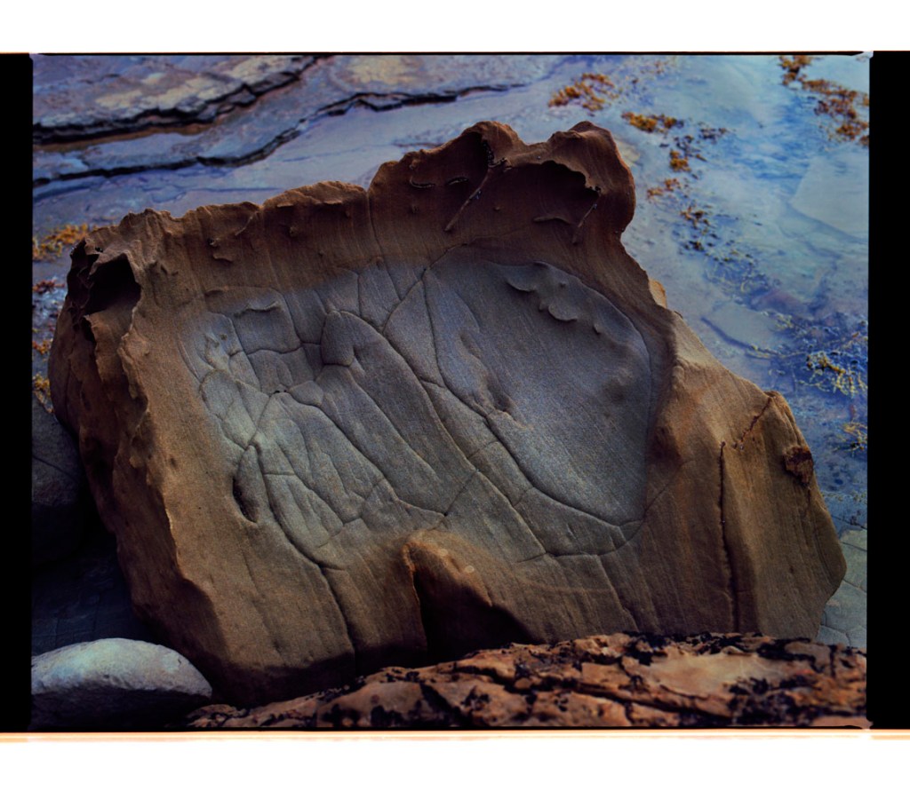 Marcus Bunyan. 'Untitled' from the series 'Resonance' 2021