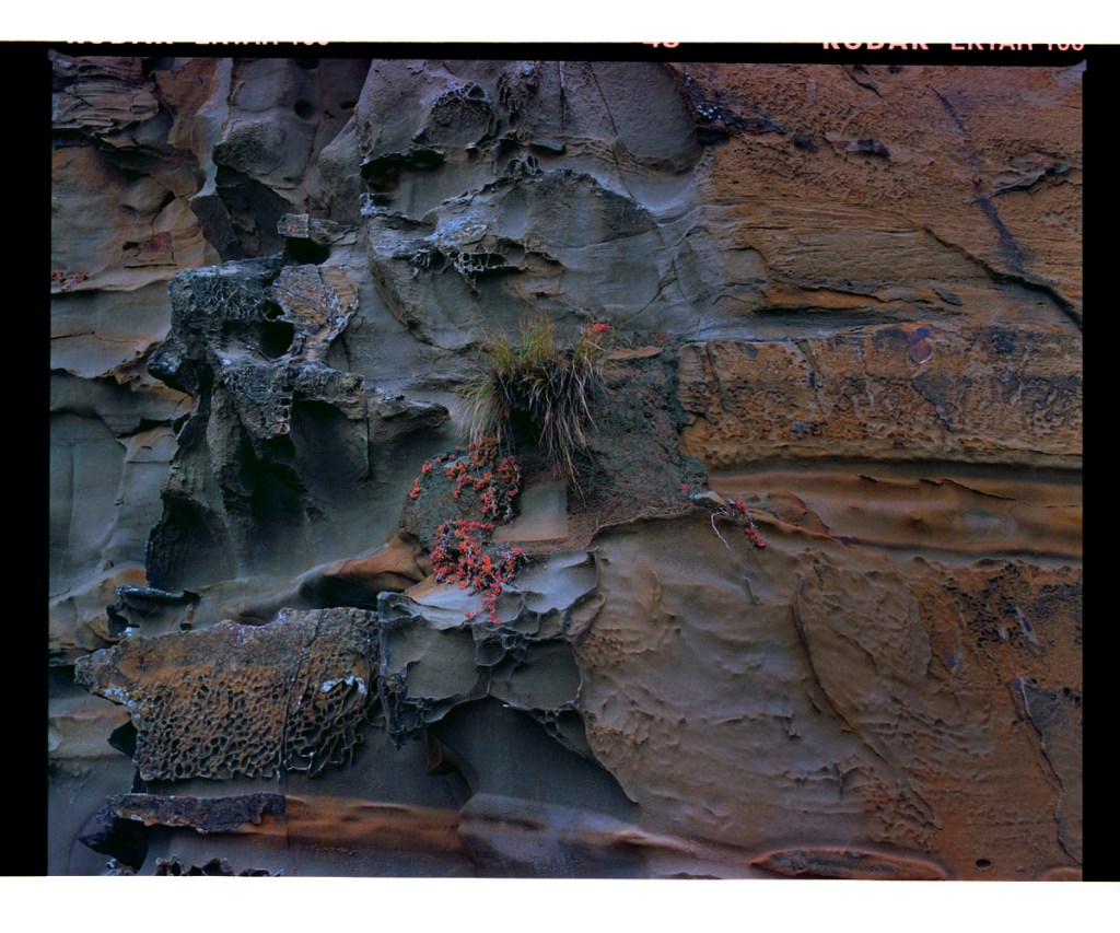 Marcus Bunyan. 'Untitled' from the series 'Resonance' 2021