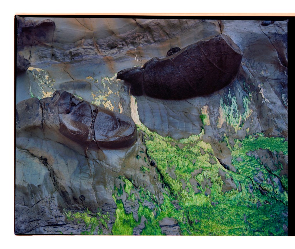 Marcus Bunyan. 'Untitled' from the series 'Resonance' 2021