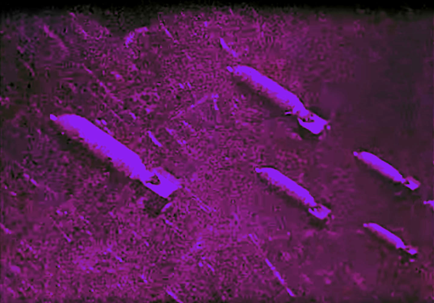 Marcus Bunyan (Australian, b. 1958) 'Falling' 2023 From the series 'Aus der Traum (From the Dream)' 2023