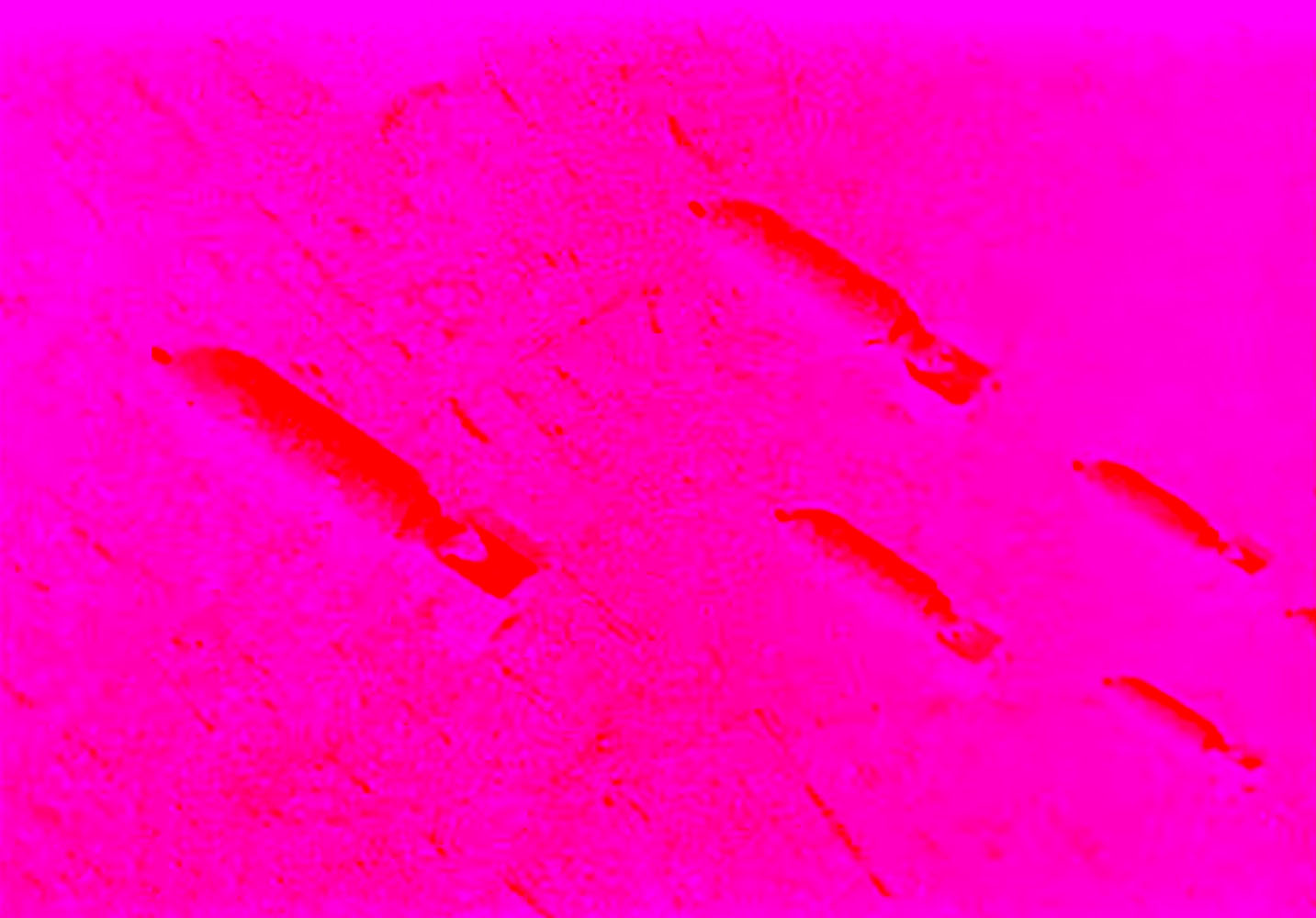 Marcus Bunyan (Australian, b. 1958) 'Falling' 2023 From the series 'Aus der Traum (From the Dream)' 2023