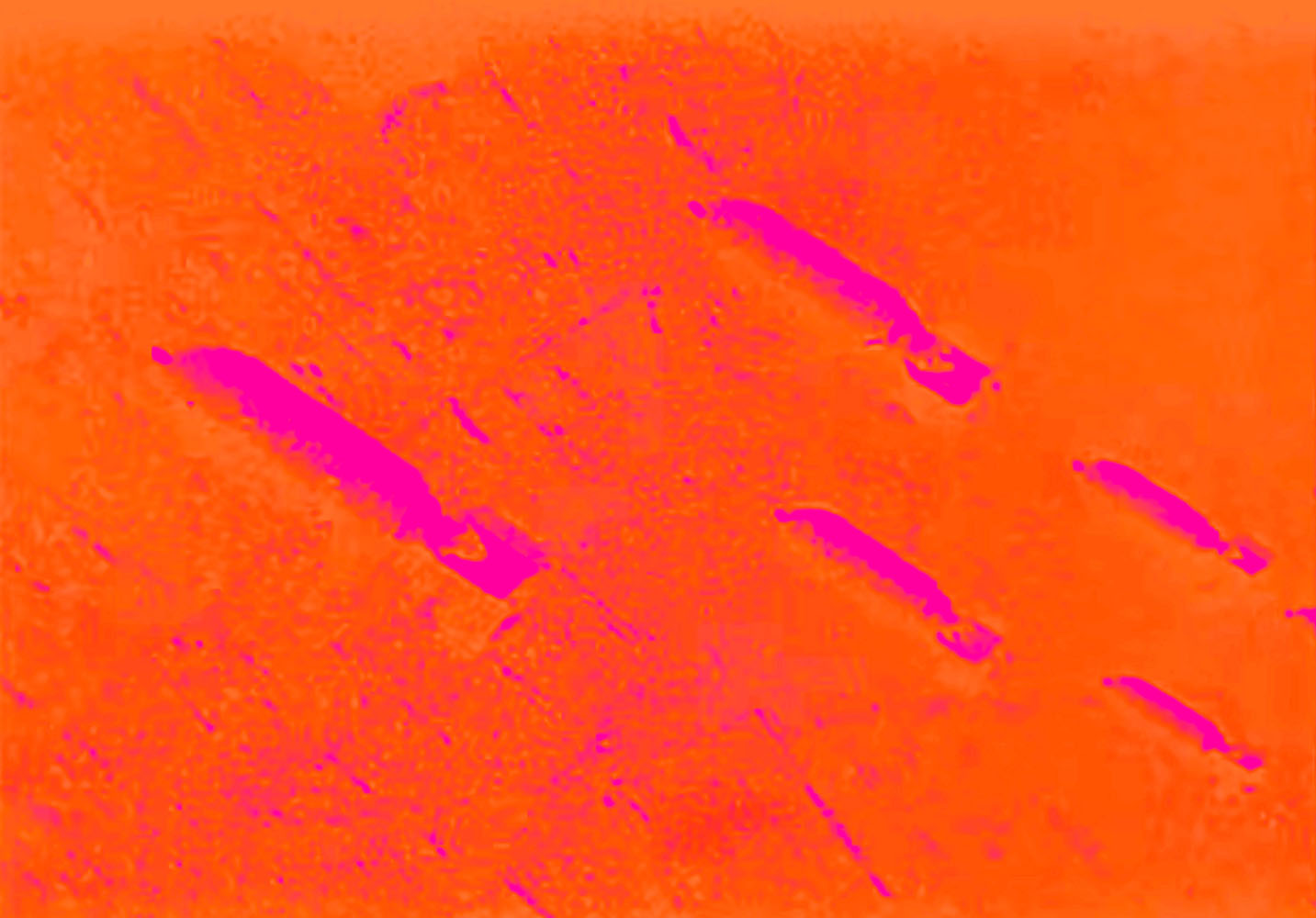 Marcus Bunyan (Australian, b. 1958) 'Falling' 2023 From the series 'Aus der Traum (From the Dream)' 2023