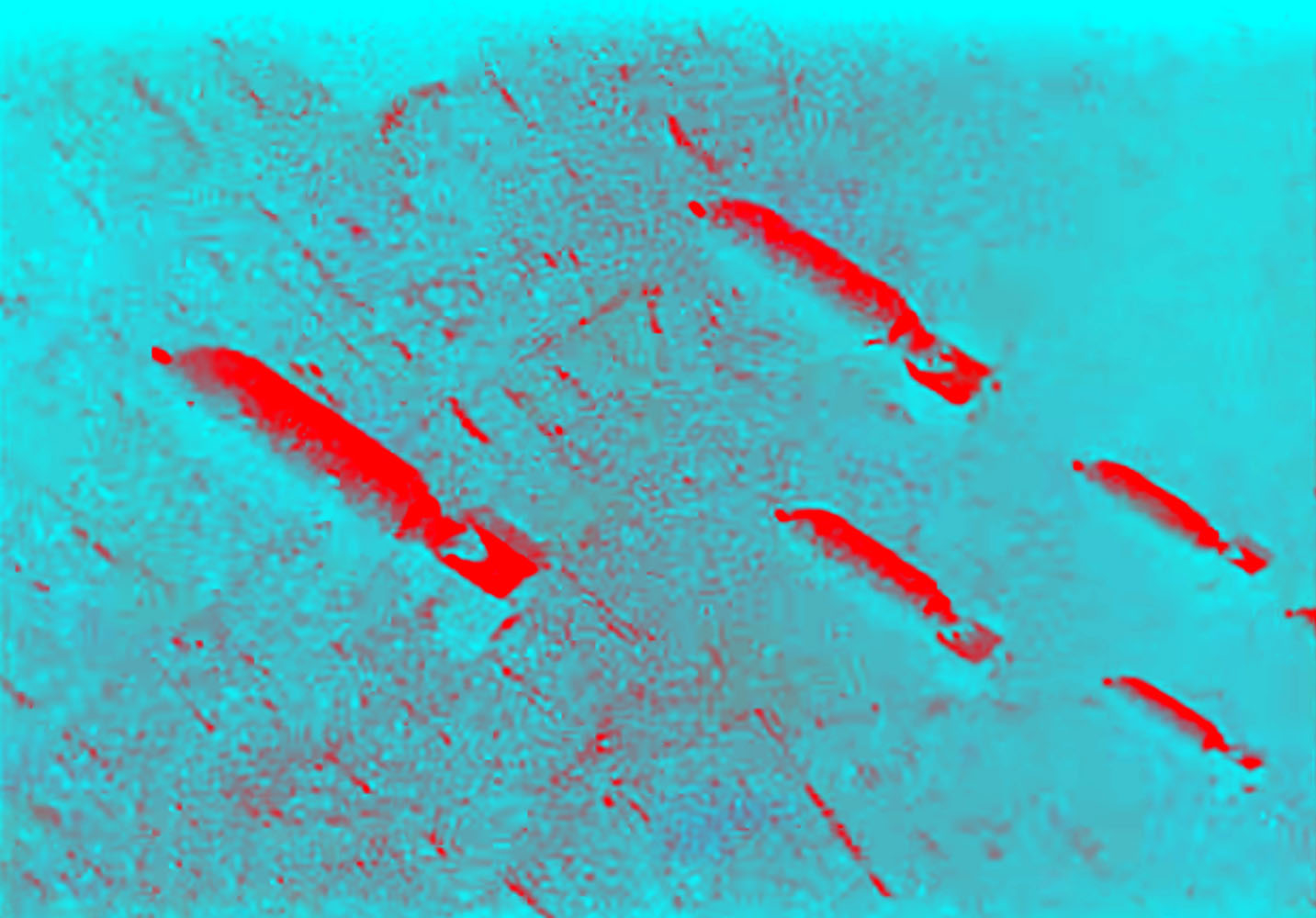 Marcus Bunyan (Australian, b. 1958) 'Falling' 2023 From the series 'Aus der Traum (From the Dream)' 2023