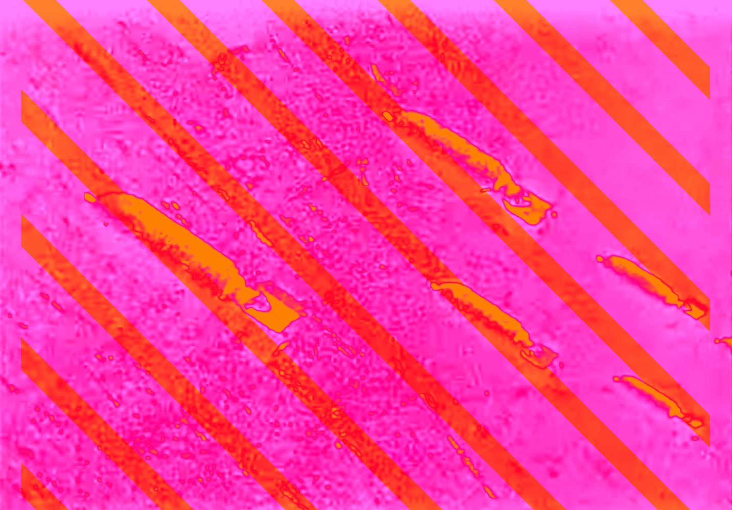 Marcus Bunyan (Australian, b. 1958) 'Falling' 2023 From the series 'Aus der Traum (From the Dream)' 2023