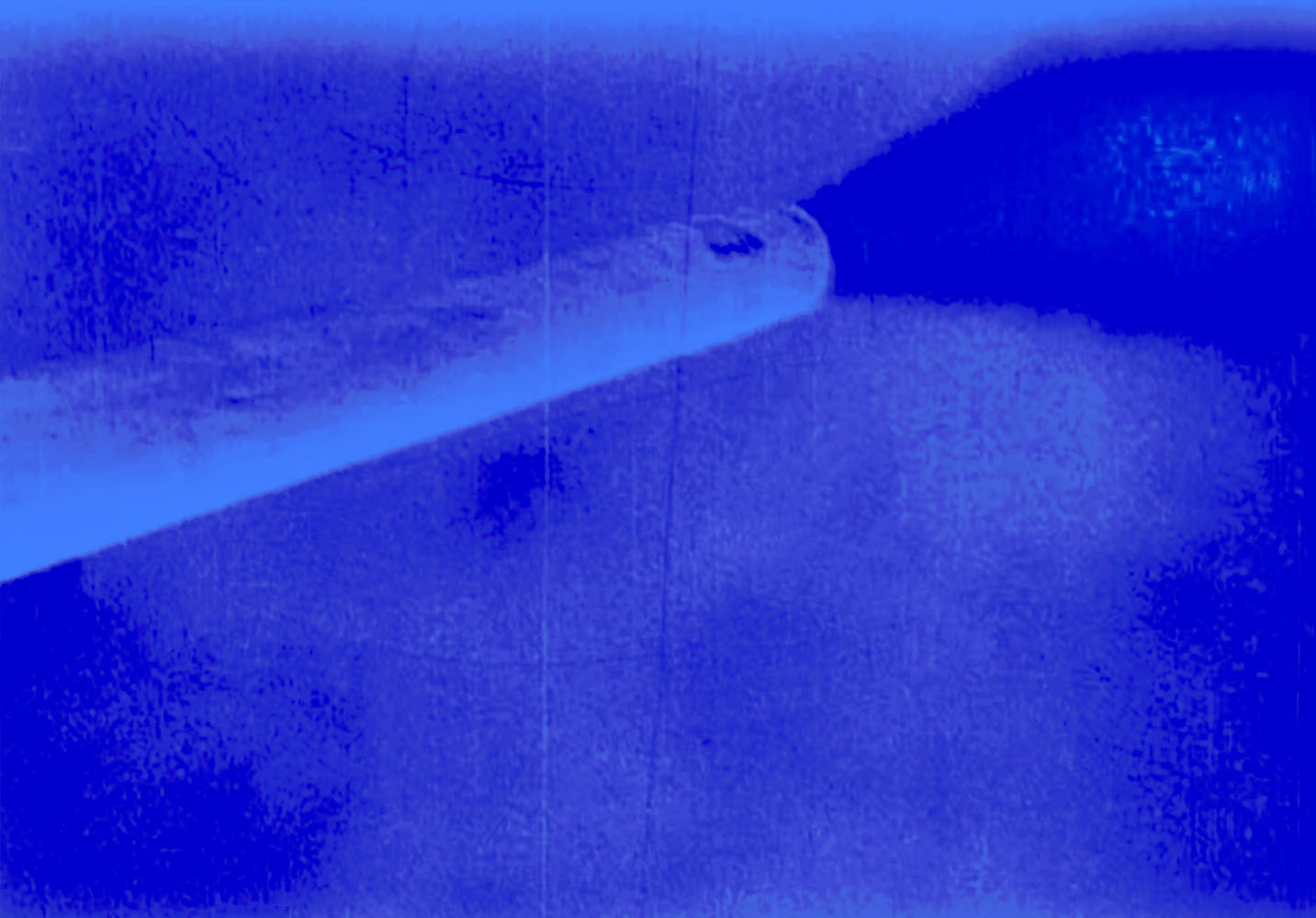 Marcus Bunyan (Australian, b. 1958) 'Gun' 2023 From the series 'Aus der Traum (From the Dream)' 2023