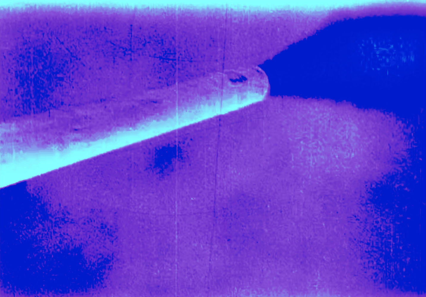 Marcus Bunyan (Australian, b. 1958) 'Gun' 2023 From the series 'Aus der Traum (From the Dream)' 2023