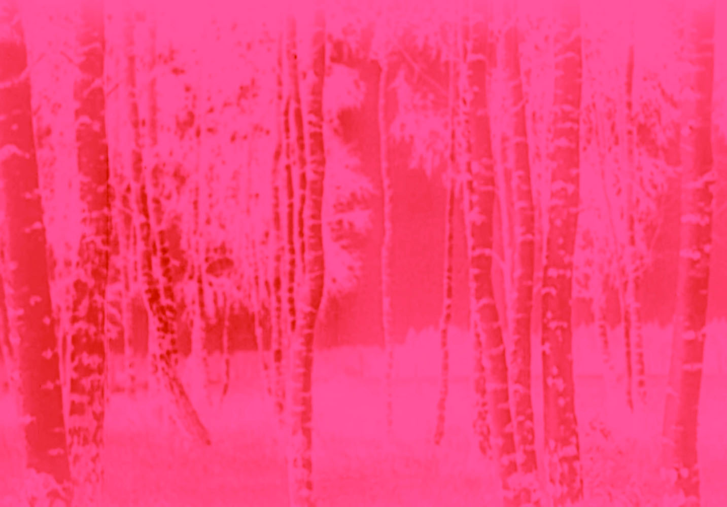 Marcus Bunyan (Australian, b. 1958) ’Tree’ 2023 From the series 'Aus der Traum (From the Dream)' 2023