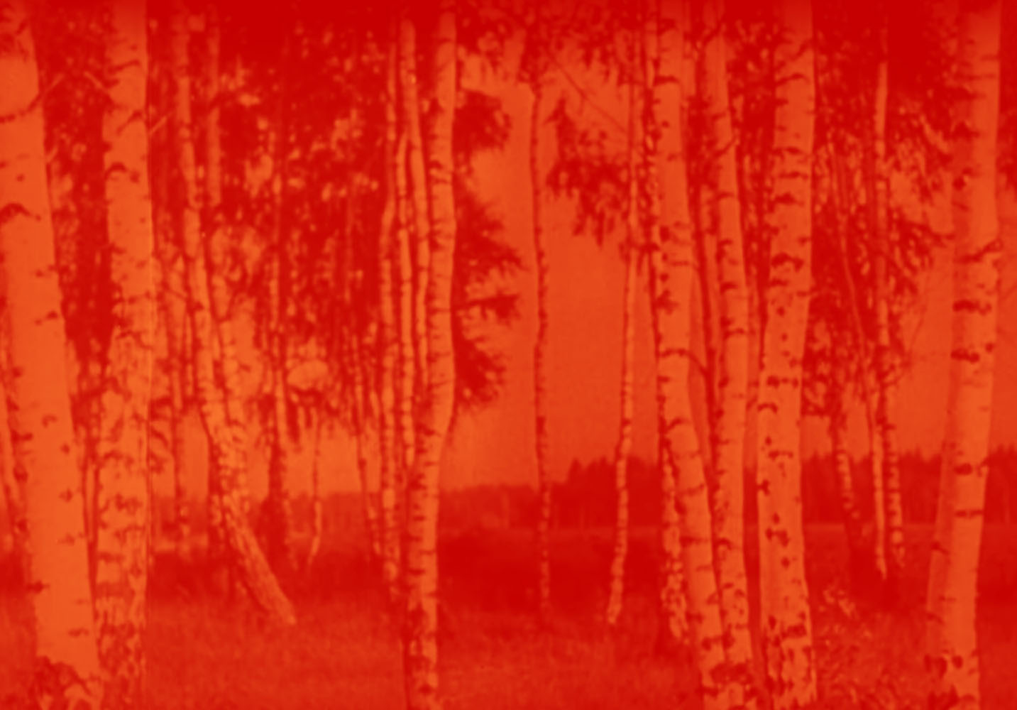 Marcus Bunyan (Australian, b. 1958) ’Tree’ 2023 From the series 'Aus der Traum (From the Dream)' 2023